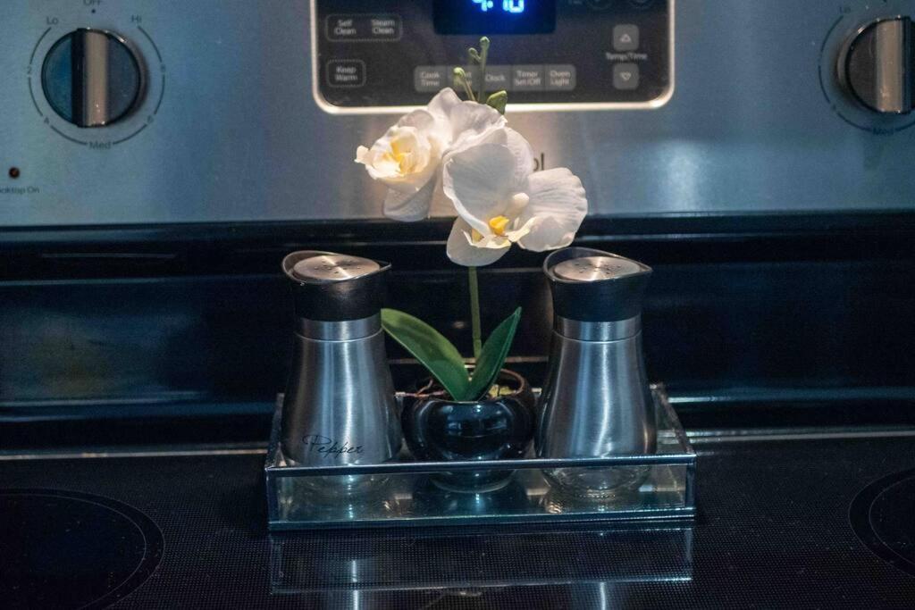 Downtown Art Penthouse Piano & Free Parking Apartment Dallas